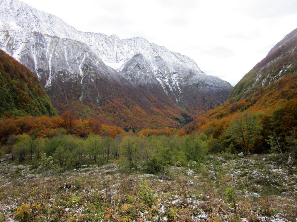 Bezgova Hisica Villa Bovec Luaran gambar