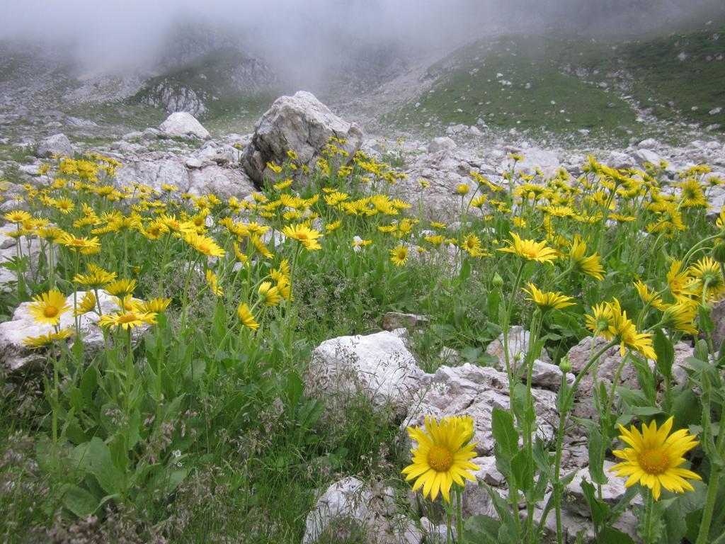 Bezgova Hisica Villa Bovec Luaran gambar