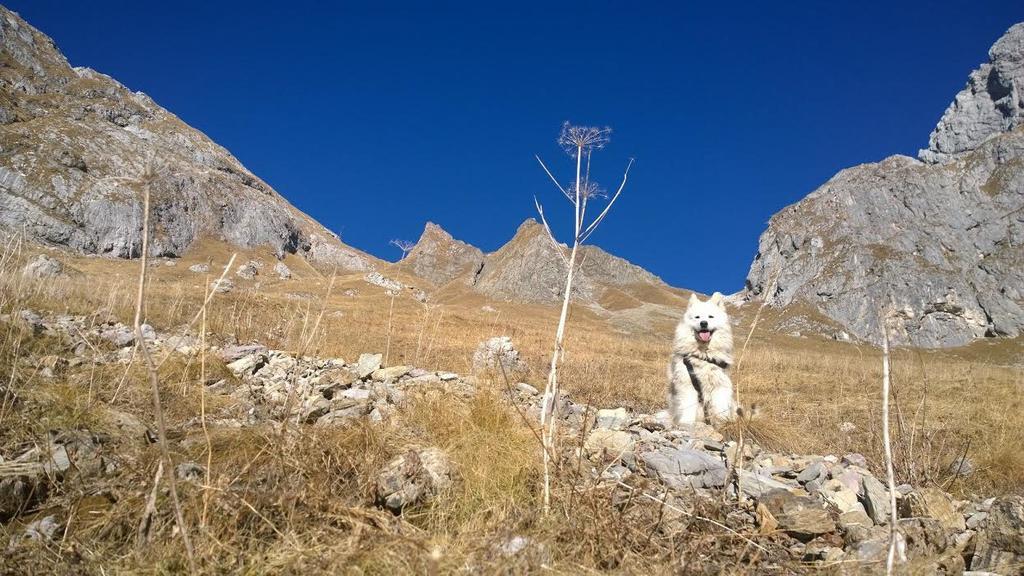 Bezgova Hisica Villa Bovec Luaran gambar
