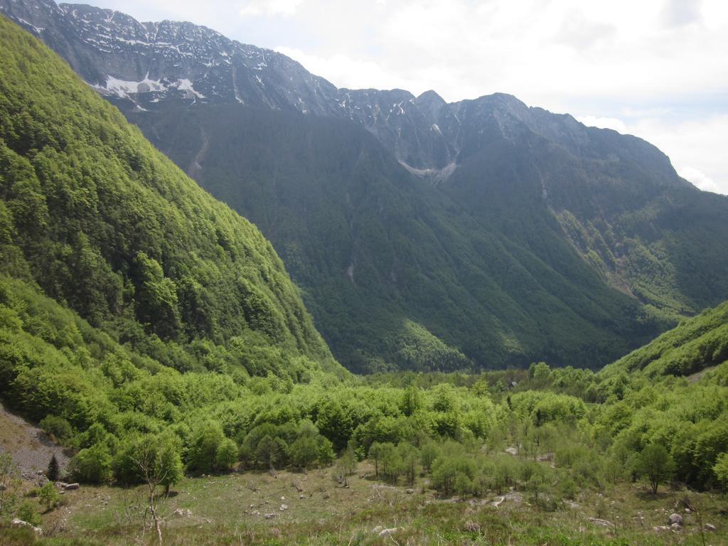 Bezgova Hisica Villa Bovec Luaran gambar