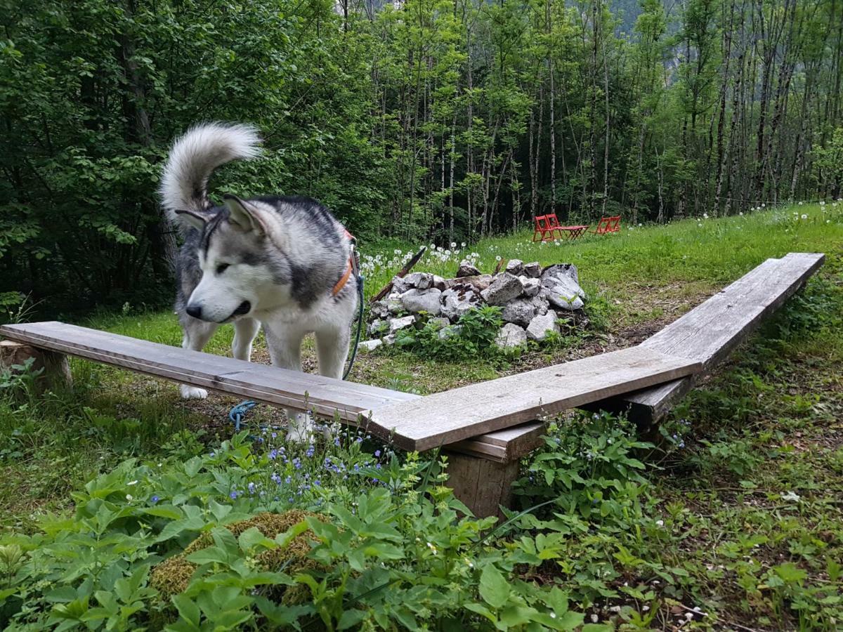 Bezgova Hisica Villa Bovec Luaran gambar